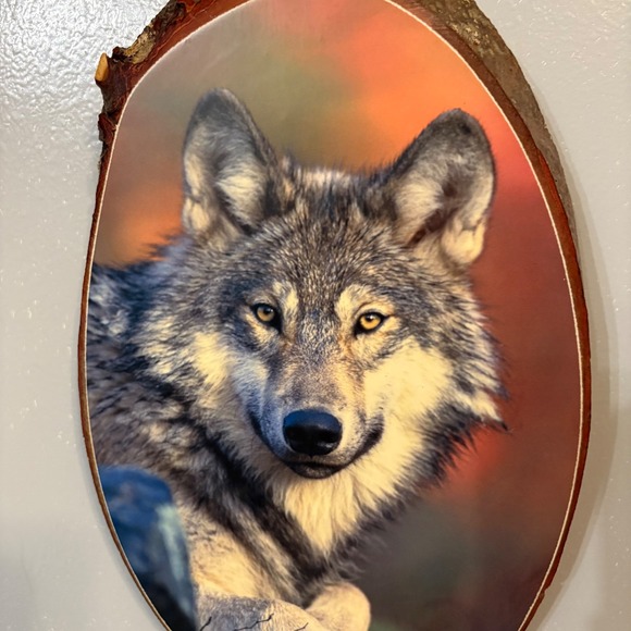 Wolf Photo‎ Art on Tree Cookie, Wall Decor - Picture 2 of 5